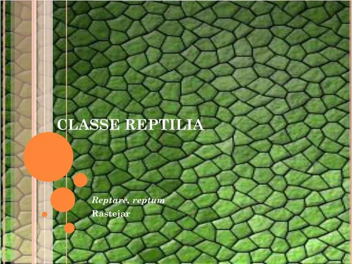 classe reptilia n.