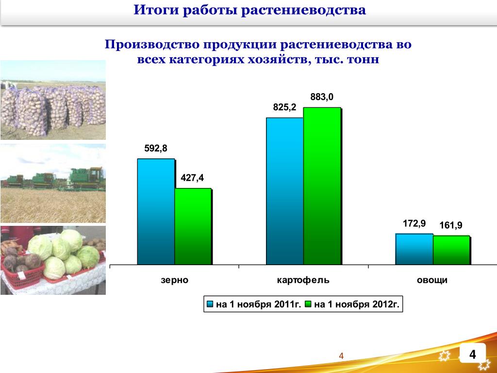 Категории хозяйств. Производство продукции растениеводства. Размеры производства растениеводства. Размеры производства продукции растениеводства на 20 21 год.