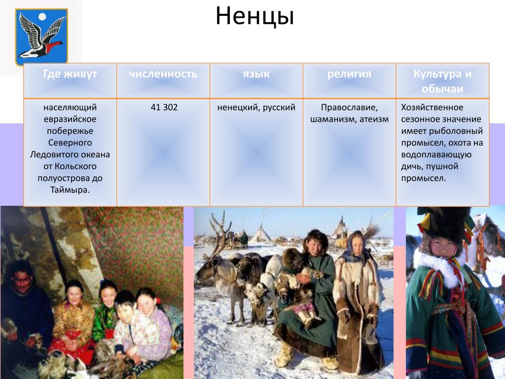 Юги народ численность. Обычаи и традиции Ненецкого народа. Ненцы численность народа. Традиции ненцев.