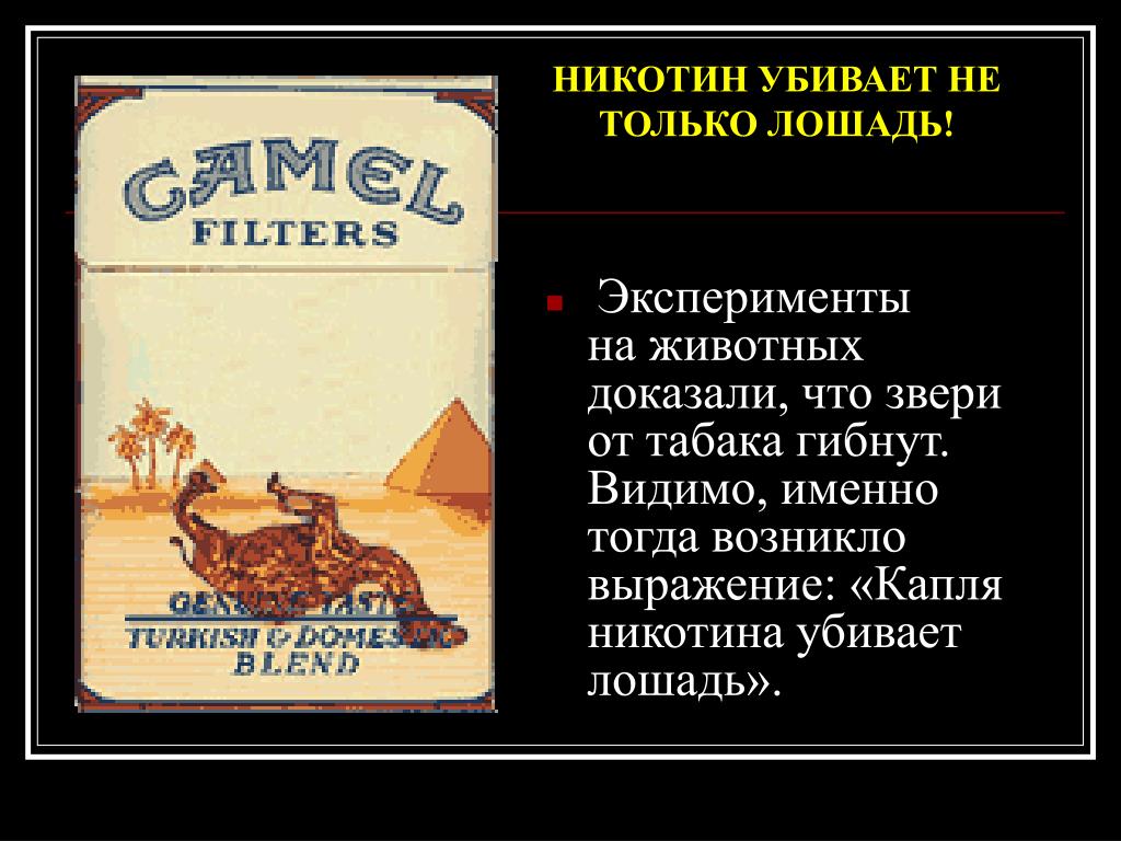 Видимо именно. Капля никотина убивает лошадь. Капля никотина убивает лошадь прикол. Капли никотина убивает лошадь.