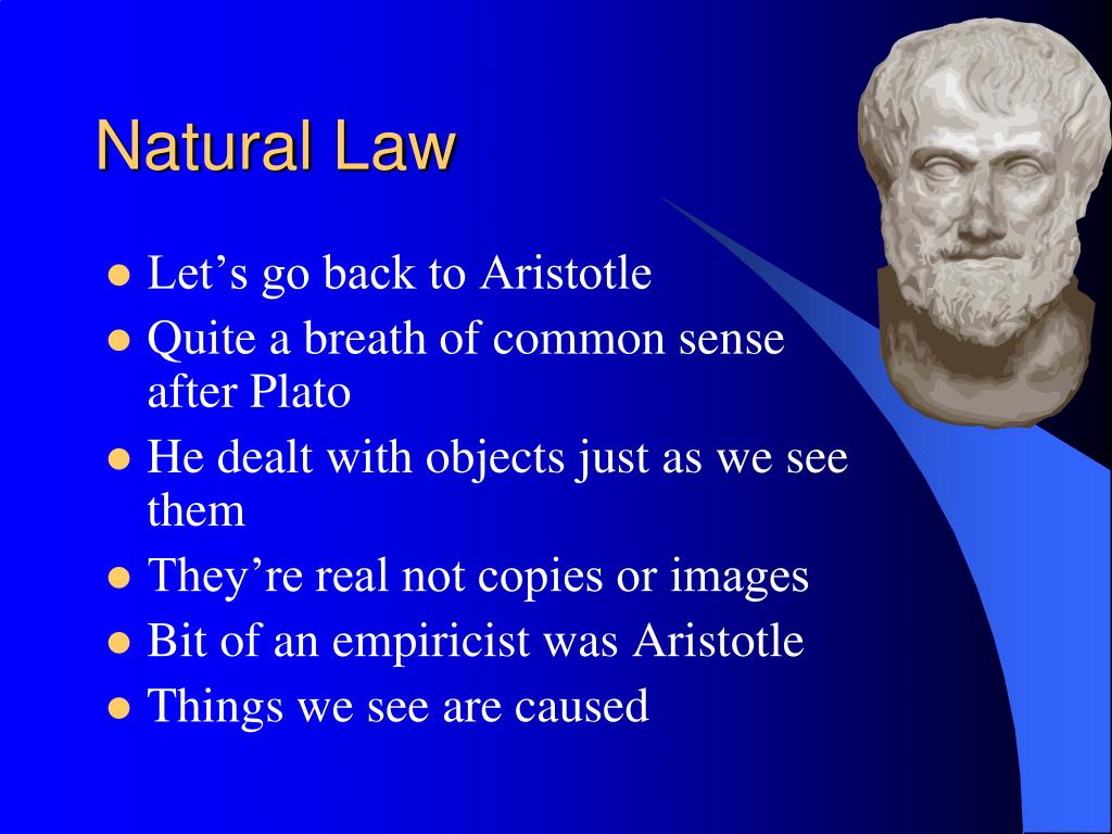 simple essay about natural law