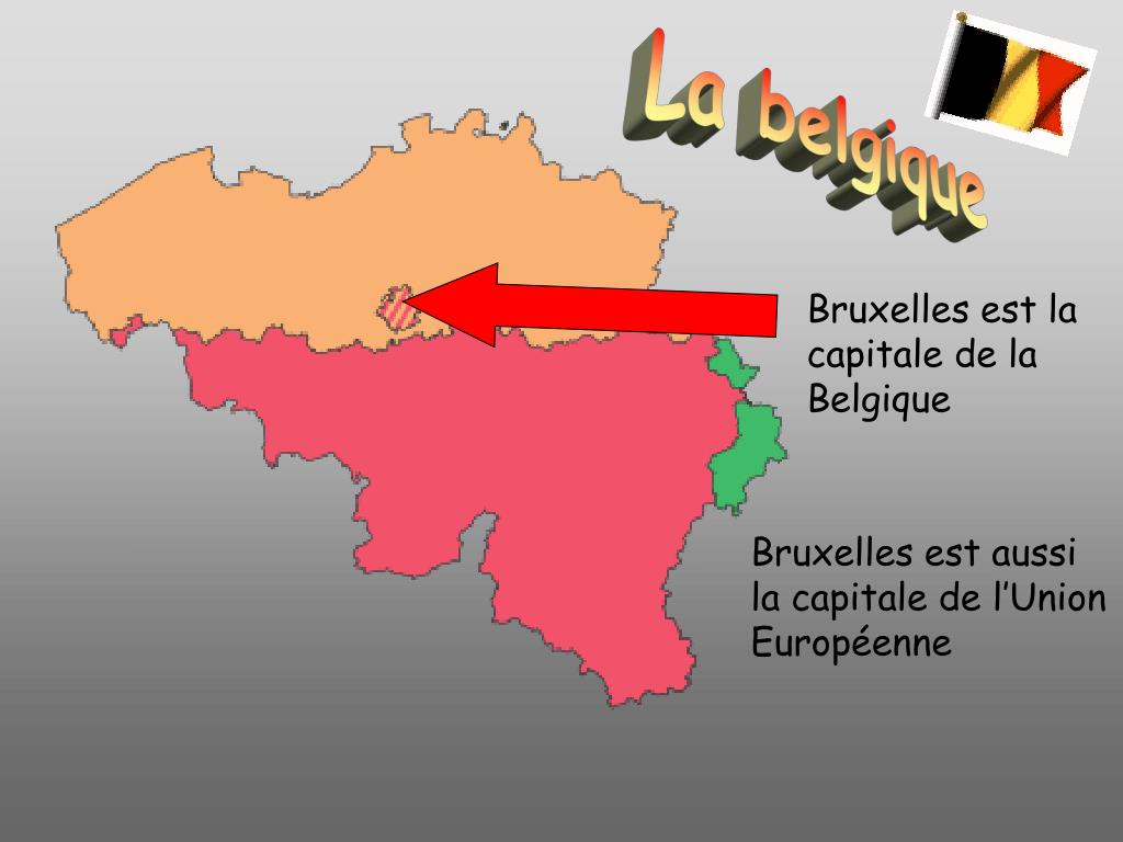 Livre 'Où Attraper En France, Belgique Et Pays-Bas' - Éditions Paul Parey - Occasion