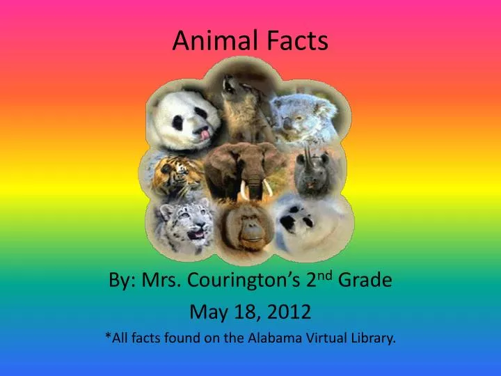 wildlife ppt presentation free download wildlife ppt presentation free download