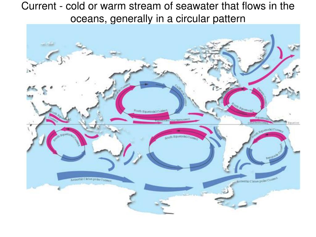 Выделите холодные течения. Морские течения. Кольца течений. Поверхностные течения мирового океана. Карта течений мирового океана.