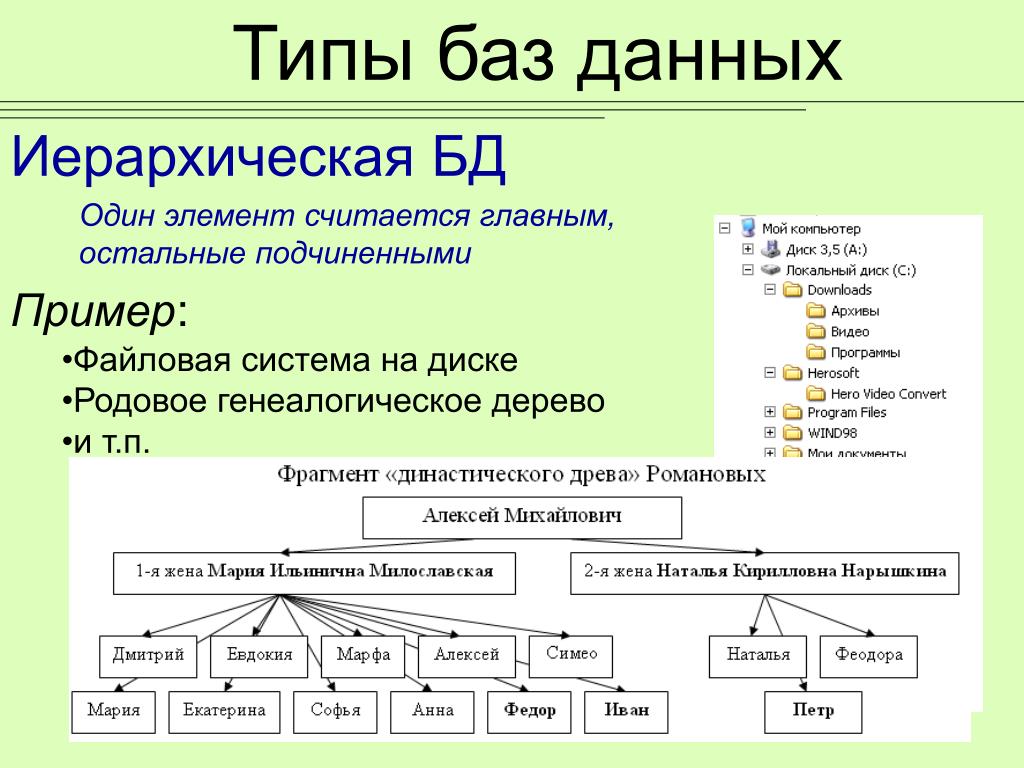 Элементы информации пример. Примеры иерархических баз данных. Иерархический Тип база данных. База данных типы баз данных. Схему иерархической структуры БД.