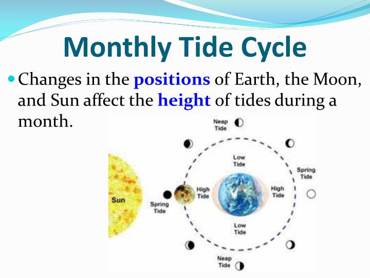 at which lunar phases are tides least pronounced