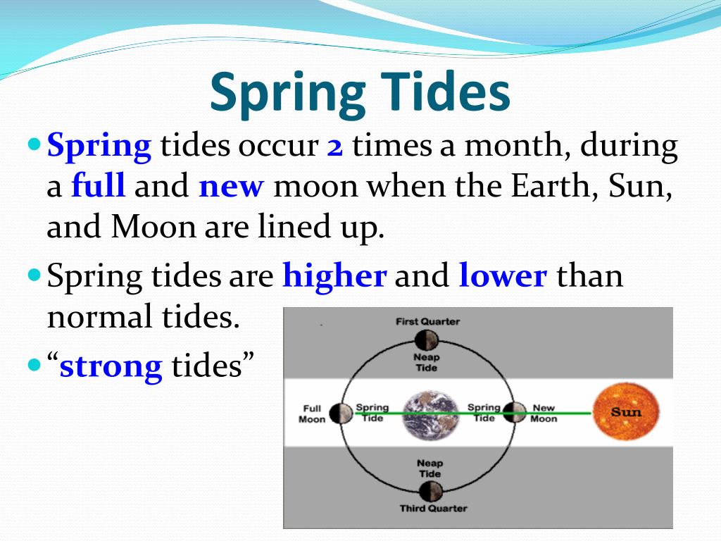 PPT Tides PowerPoint Presentation, free download ID5239100