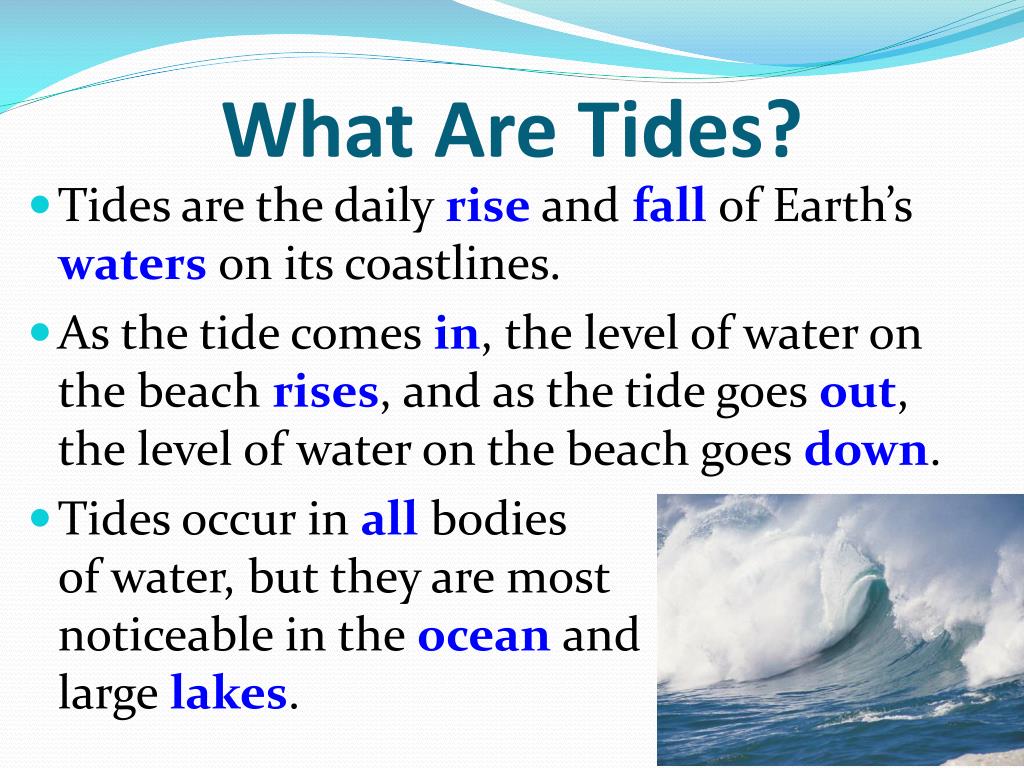 What Does Low Tide Mean at Sandra Chase blog