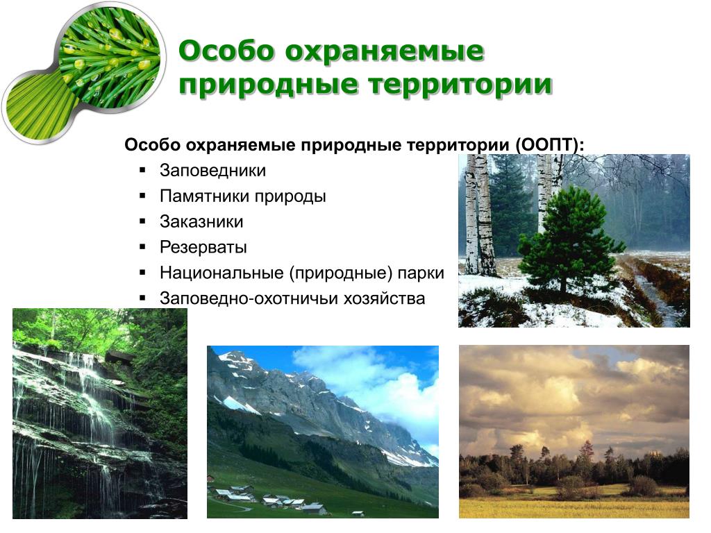 Природно территориального. Заповедники заказники национальные парки памятники природы. Природно-территориальные аспекты. Природно-территориальные аспекты экологических проблем. Природно-территориальные аспекты экологических проблем России.