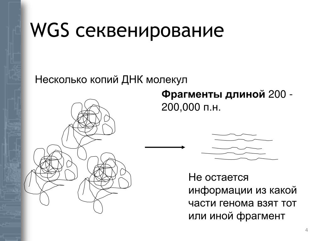 Несколько копий