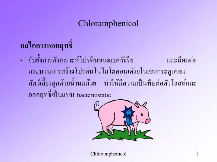chloramphenicol n.