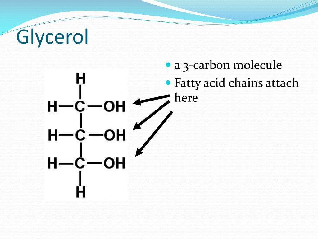 PPT The Molecules of Life PowerPoint Presentation, free download ID