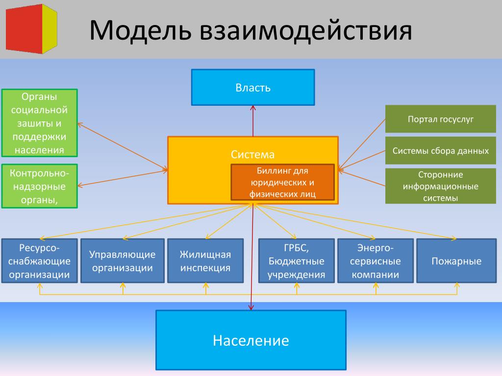 Модель общественной организации