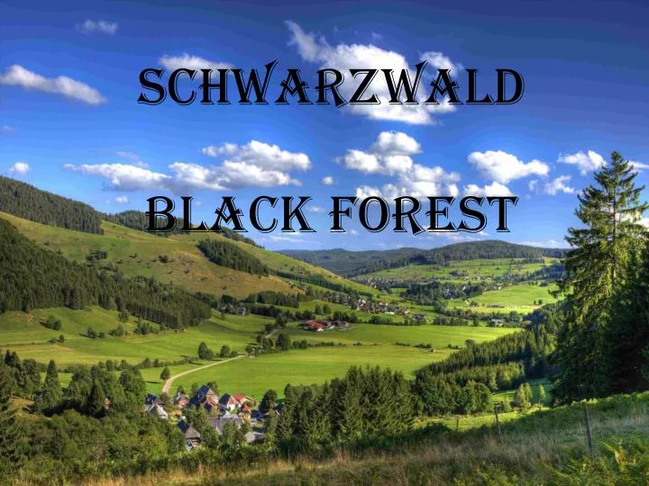 PPT - Schwarzwald Black forest PowerPoint Presentation, free download ...