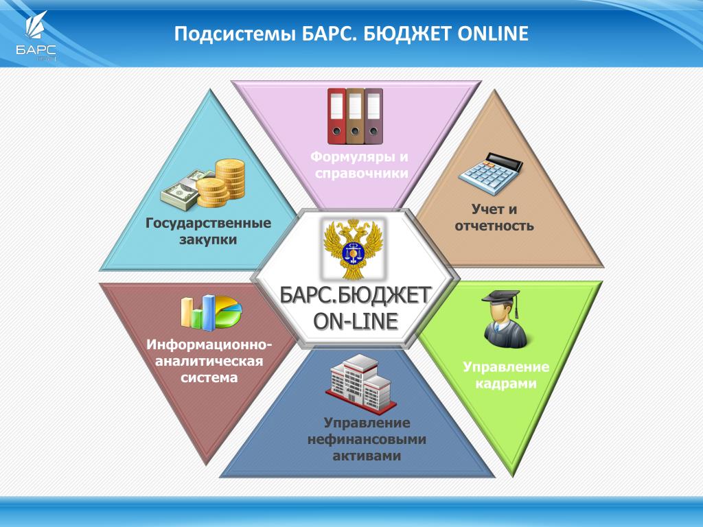 Барс бюджет бухгалтерия томская область