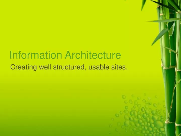 information architecture n.