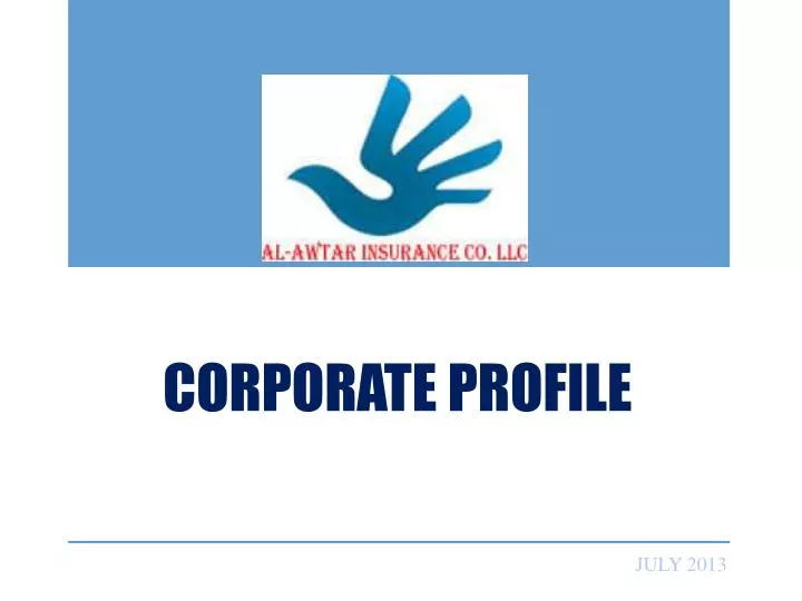 corporate profile n.