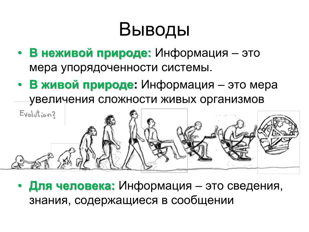 Прием информации вывод. Мера упорядоченности системы. Место человека в природе. Приём информации в природе человек. Прием информации.