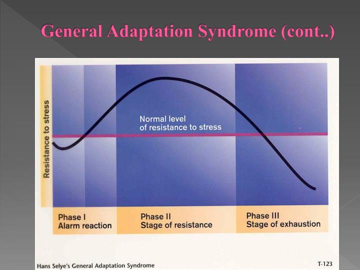 the general adaptation syndrome the general adaptation syndrome
