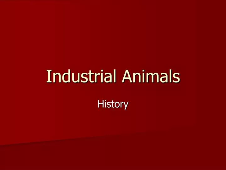 industrial animals n.