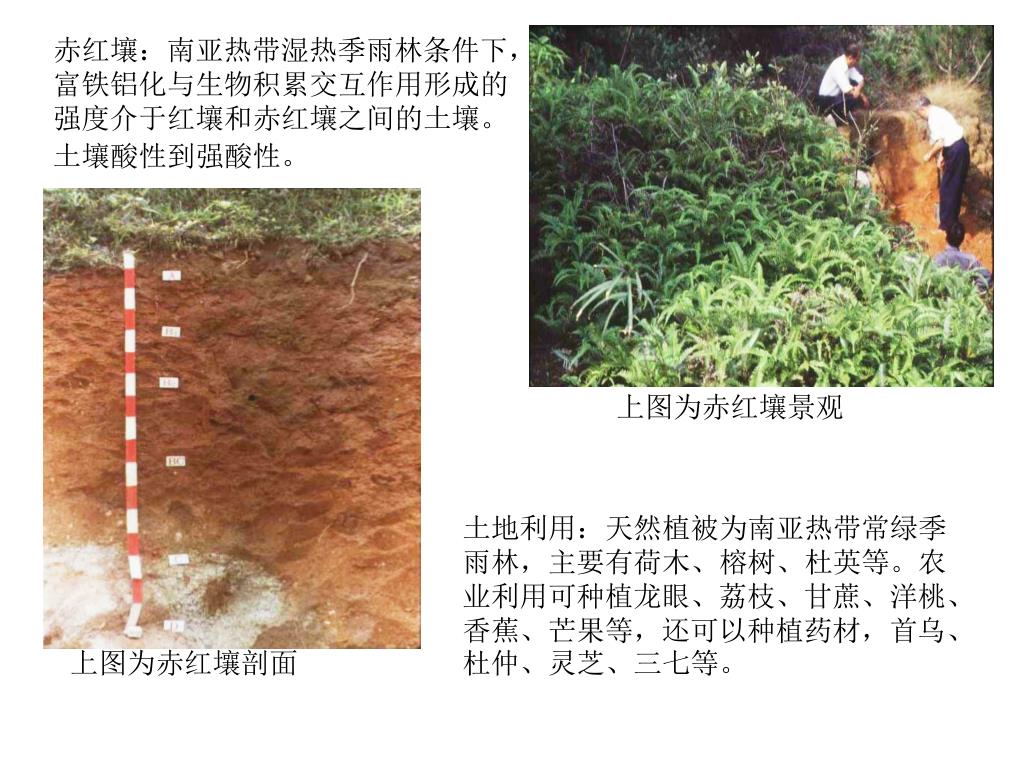 科学网—杨顺华|探秘红壤关键带，寻找“消失”的氮素 - 杨顺华的博文