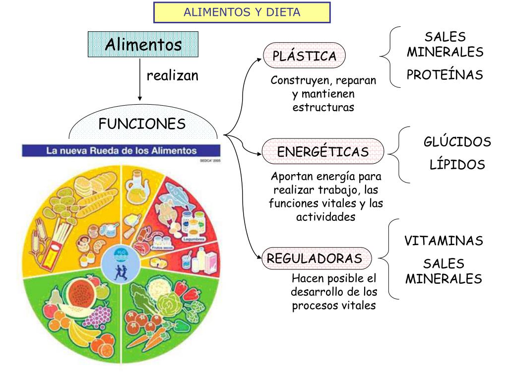 Dieta de las proteinas