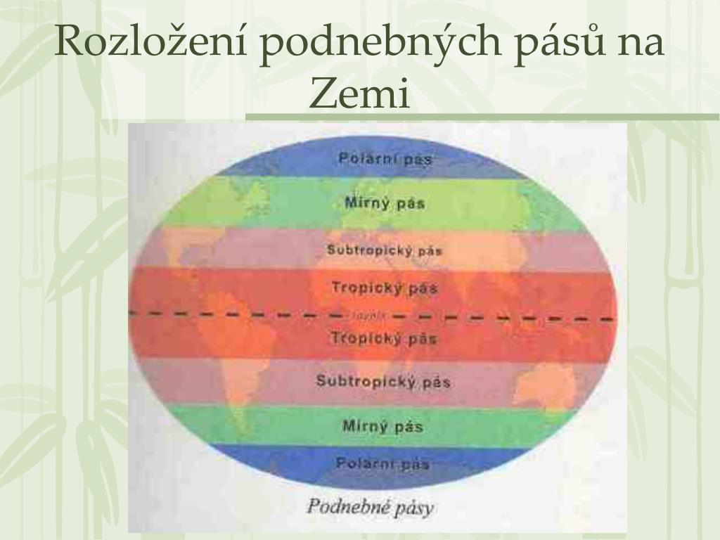 PPT - Podnebné pásy - živočichové PowerPoint Presentation, free download -  ID:5254761