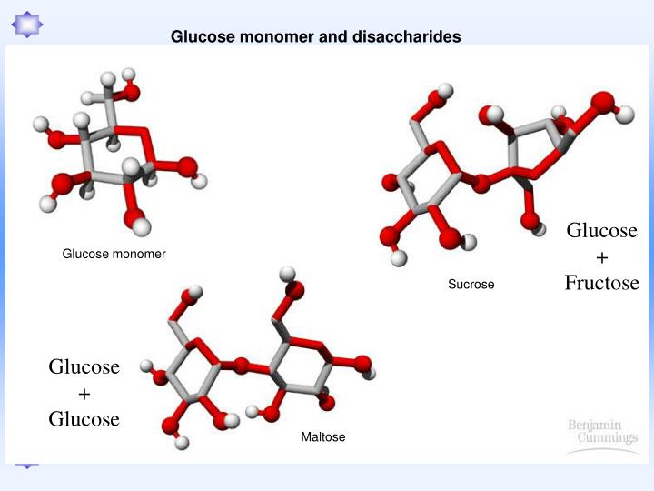 PPT - Biology Biochemistry Unit Chapter 2 The Chemistry of Life ...