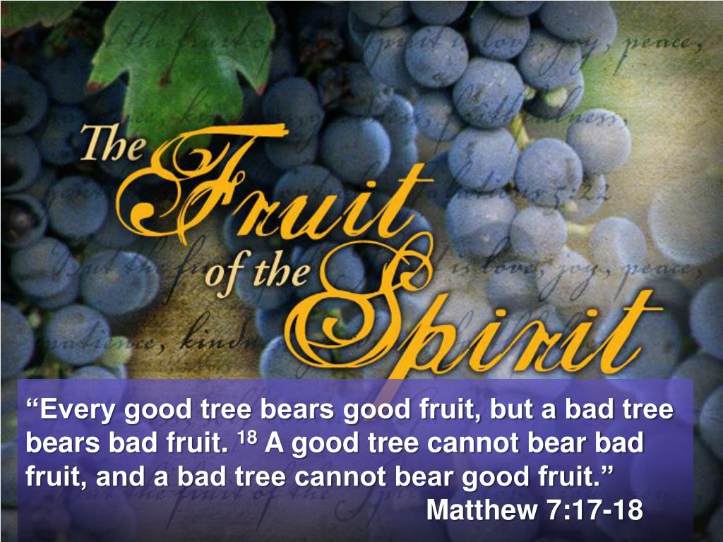 Un árbol malo no puede dar buenos frutos