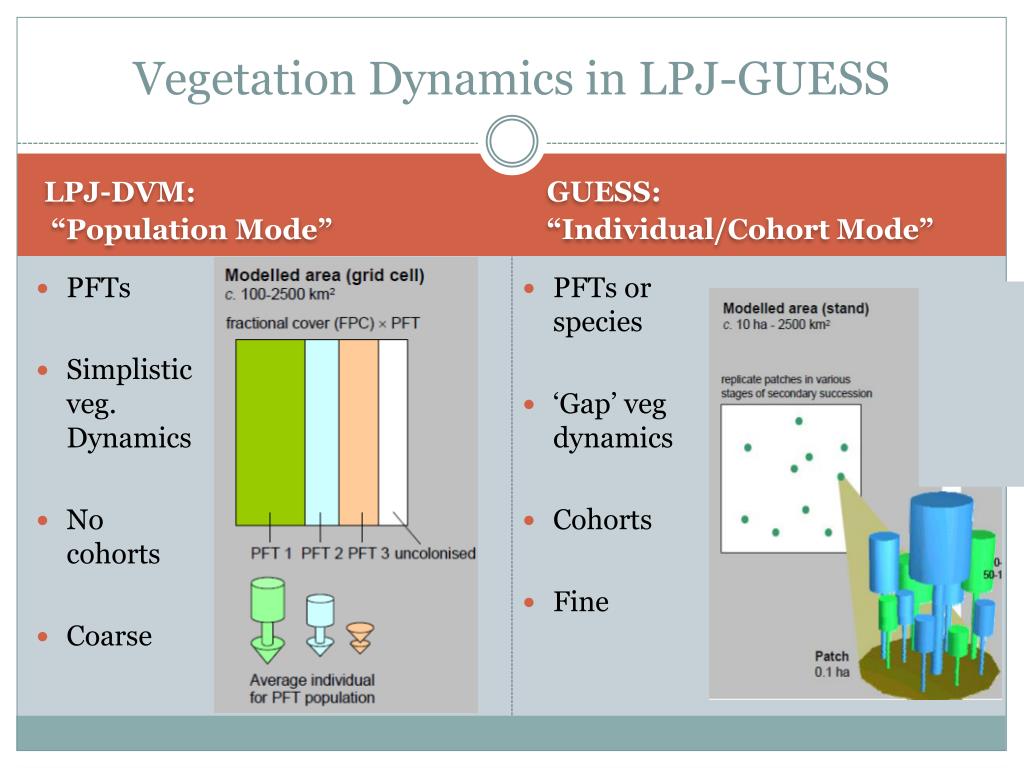PPT - Modeling Vegetation Dynamics with LPJ-GUESS PowerPoint Presentation -  ID:5260481