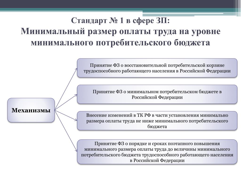 Установление минимальной заработной платы. Минимальный размер оплаты труда. МРОТ презентация. Порядок установления МРОТ. Минимальная заработная плата по сфере деятельности.