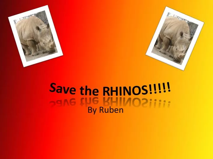 save the endangered animals essay save the endangered animals essay
