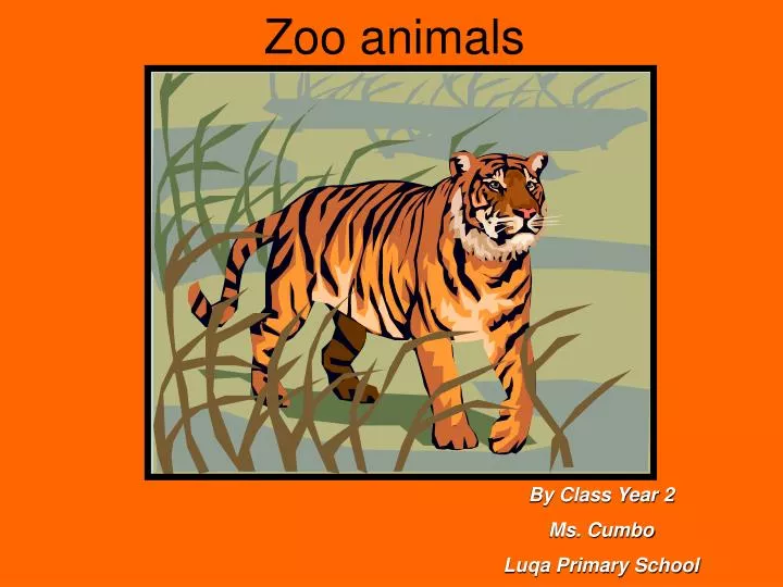 PPT - Zoo animals PowerPoint Presentation, free download - ID:5268198