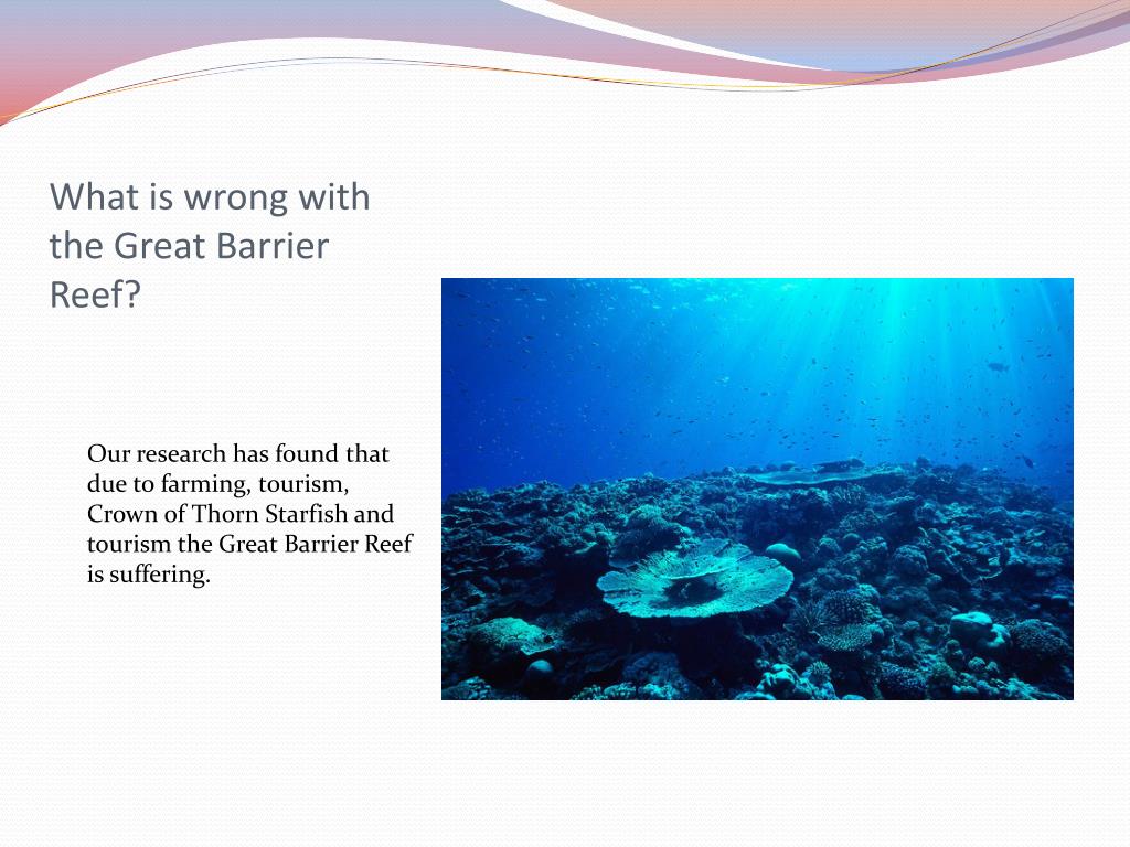 Ppt The Great Barrier Reef Powerpoint Presentation Free Download Id