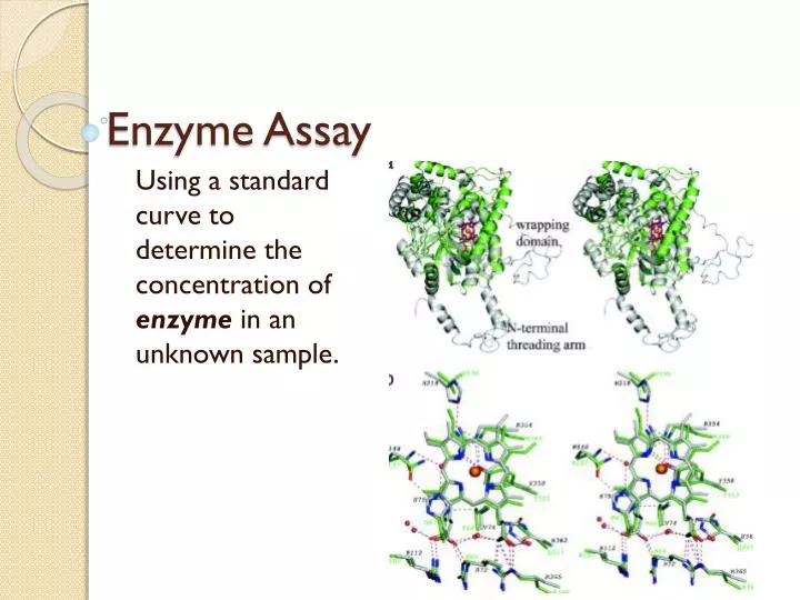 write an essay on enzymes assay techniques