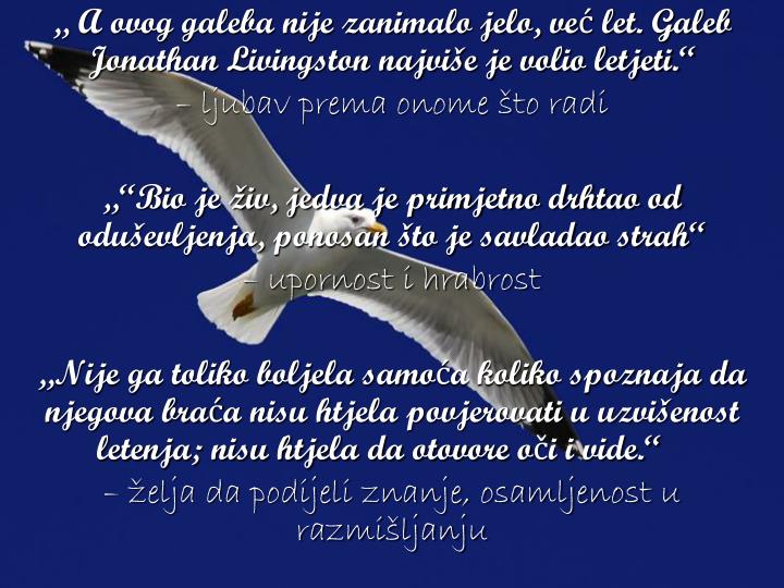 galeb johnatan livingston