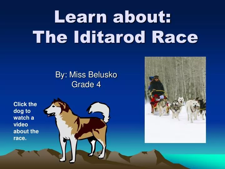 write an informative essay on the iditarod dogsled race