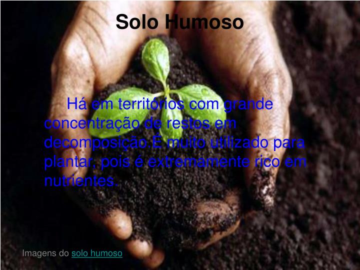 PPT - Tipos de solo PowerPoint Presentation - ID:5272671