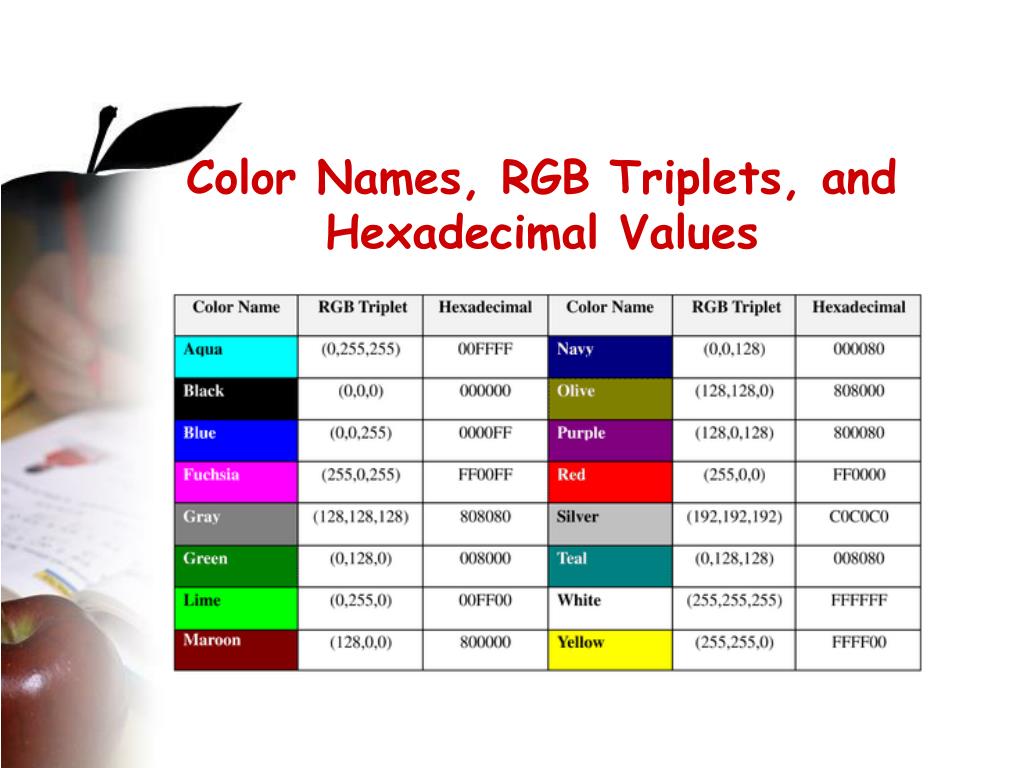 PPT - Tutorial 3 – Designing a Web Page Working with Color & Graphics ...