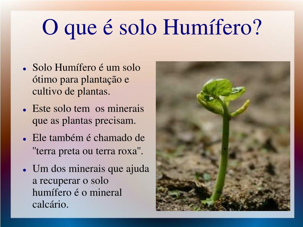 Características Do Solo Humífero - BRAINCP