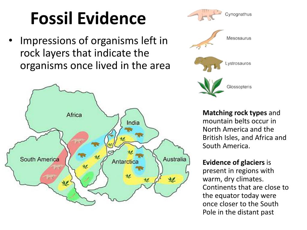 PPT Continental Drift & Plate Tectonics PowerPoint Presentation ID