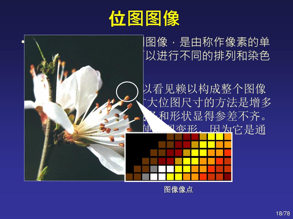 Ppt 第3 章基于photoshop 的图像处理技术powerpoint Presentation Id Ppt 第3 章基于photoshop 的图像处理技术powerpoint Presentation Id
