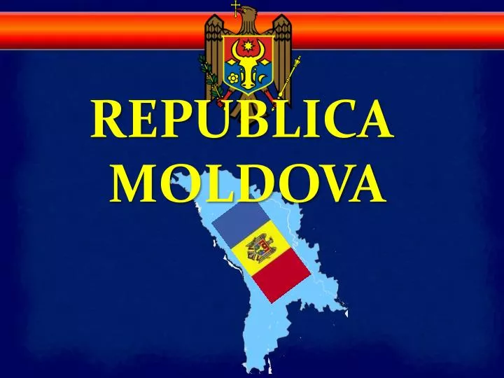 vecinii din iad 1 free vecinii din iad 1 free