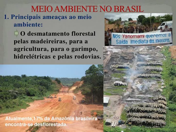 meio ambiente no brasil n.