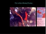 slide3
