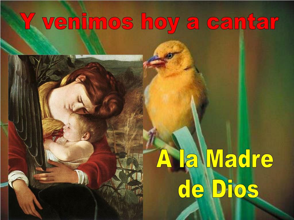 PPT - Fiesta de Santa María, Madre de Dios PowerPoint Presentation