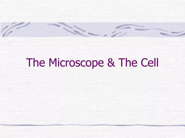 PPT - The Microscope & The Cell PowerPoint Presentation, free download ...