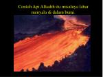 slide8