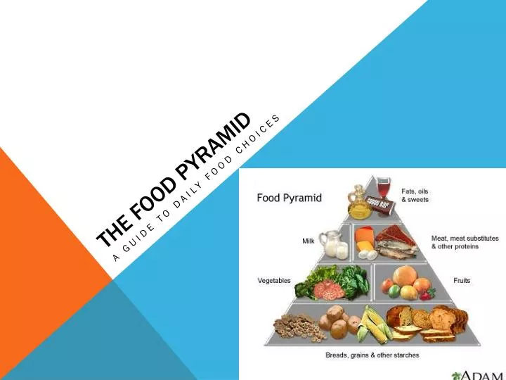 the food pyramid n.