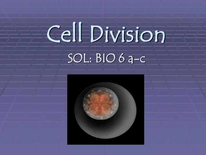 ppt-cell-division-powerpoint-presentation-free-download-id-5282199